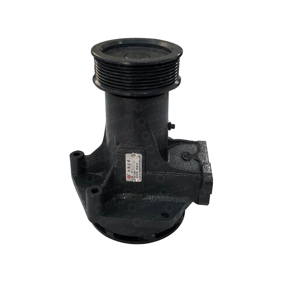 Bomba D Agua Motor Weichai WD10